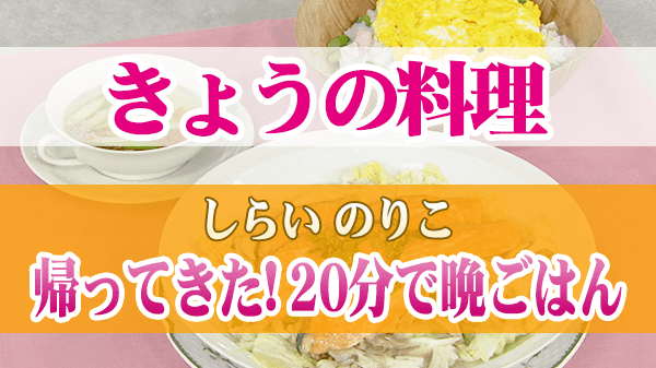 きょうの料理 しらい のりこ 20分で晩ごはん