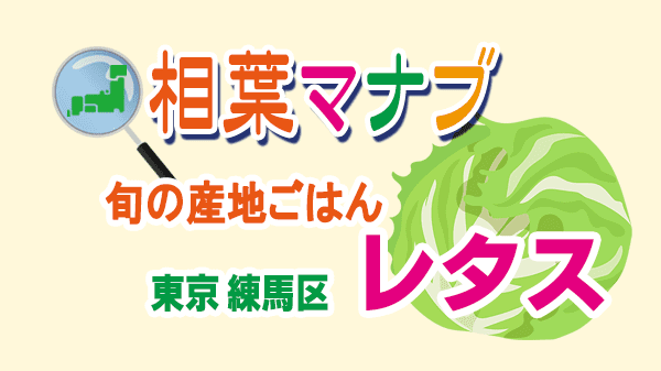 相葉マナブ 旬の産地ごはん レタス 東京 練馬区