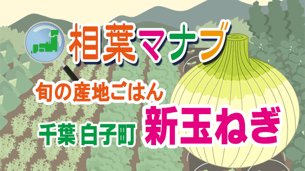 相葉マナブ 旬の産地ごはん 新玉ねぎ 千葉県 白子町