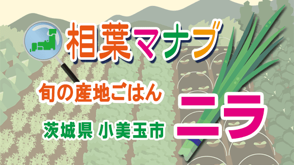 相葉マナブ 旬の産地ごはん ニラ 茨城県 小美玉市