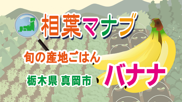 相葉マナブ 旬の産地ごはん バナナ 栃木県 真岡市