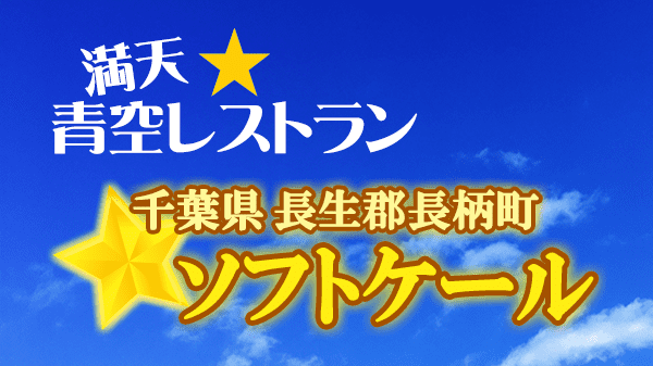 青空レストラン 千葉県 長生郡 長柄町 ソフトケール