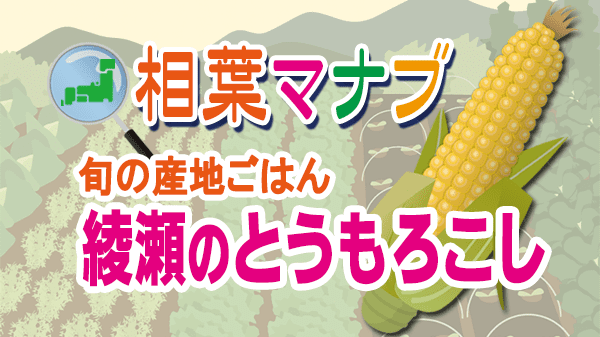 相葉マナブ 旬の産地ごはん 綾瀬 とうもろこし