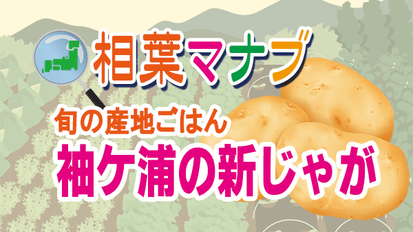 相葉マナブ 旬の産地ごはん 千葉県 袖ケ浦 新じゃが