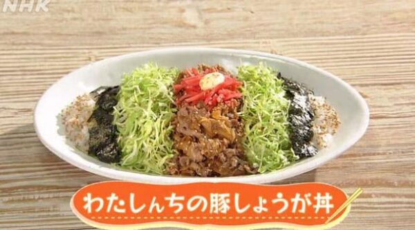 きょうの料理 レシピ 平野レミ 豚しょうが丼