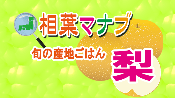 相葉マナブ 旬の産地ごはん 梨 千葉県 船橋市