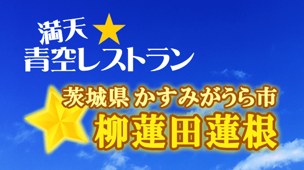 青空レストラン 柳蓮田蓮根 茨城県 かすみがうら市