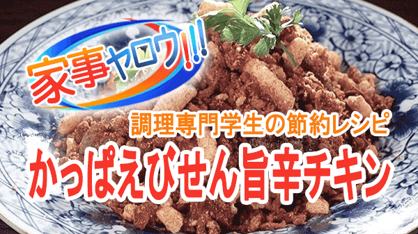 家事ヤロウ かっぱえびせん 旨辛チキン