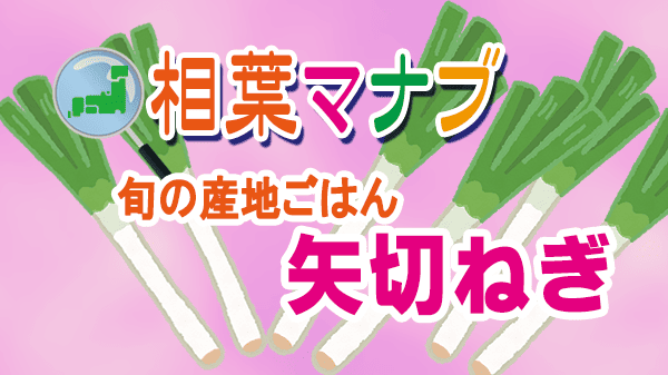 相葉マナブ 旬の産地ごはん 矢切ねぎ