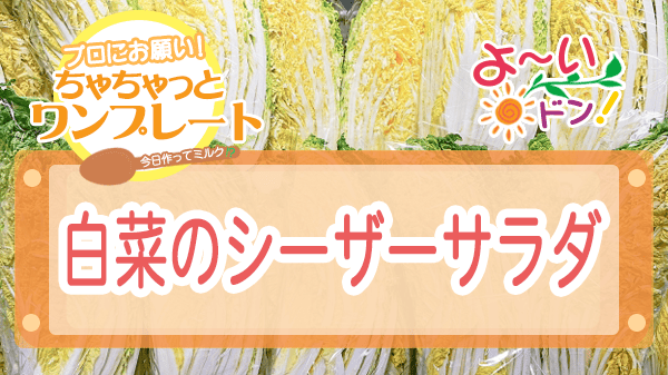 よーいドン ちゃちゃっとワンプレート 白菜レシピ 白菜のシーザーサラダ